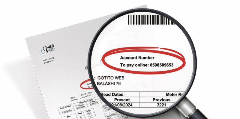 WEB’s DiTra digital transformation project to enhance automation in customer service