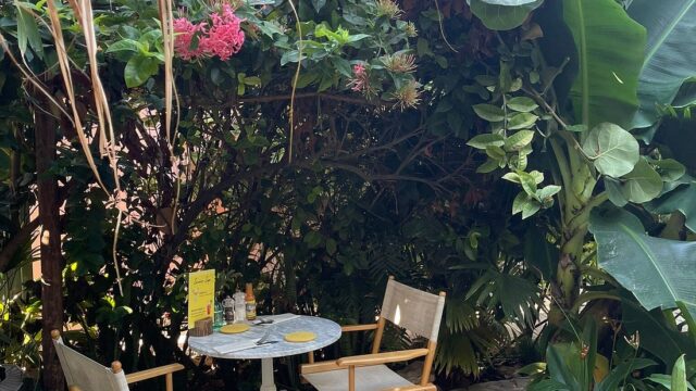 The Coco Cafe outlook