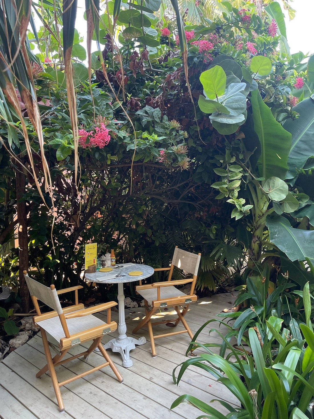 The Coco Cafe outlook