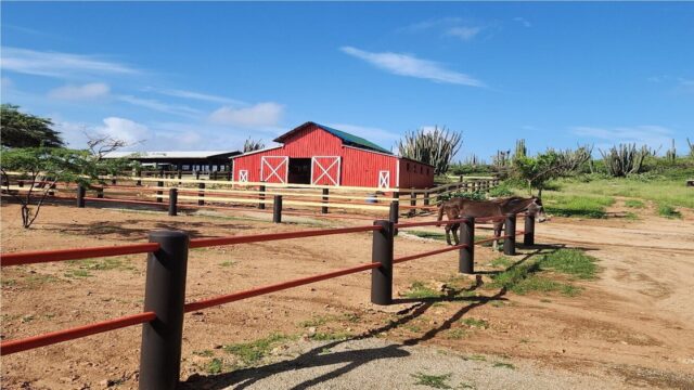 Around Aruba Tours house view