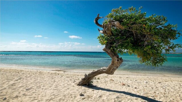 Aruba Cine Tours morning view