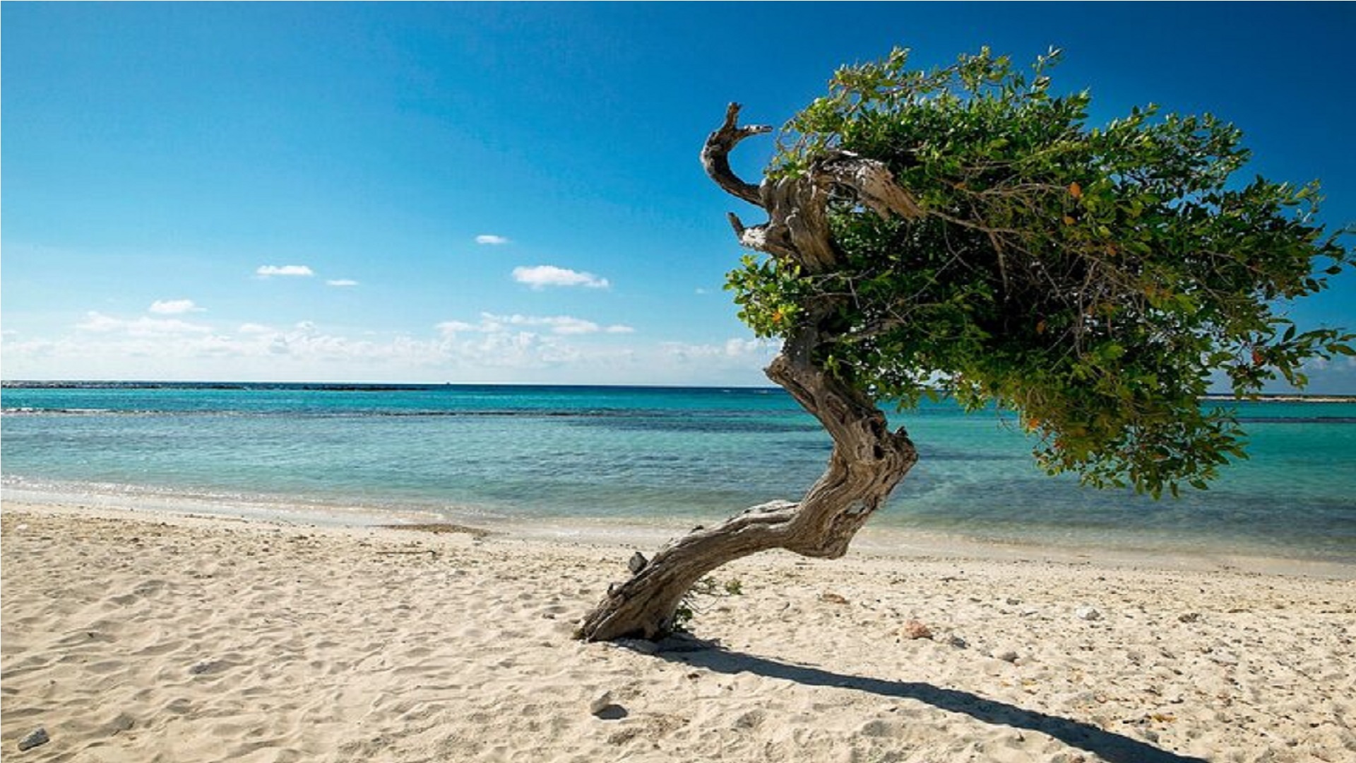 Aruba Cine Tours morning view