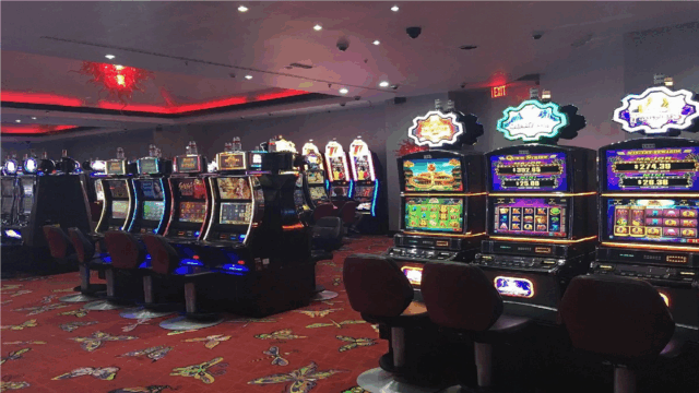 Orchid Casino game viwe