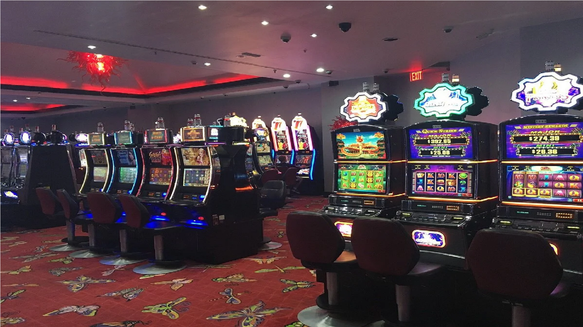 Orchid Casino game viwe