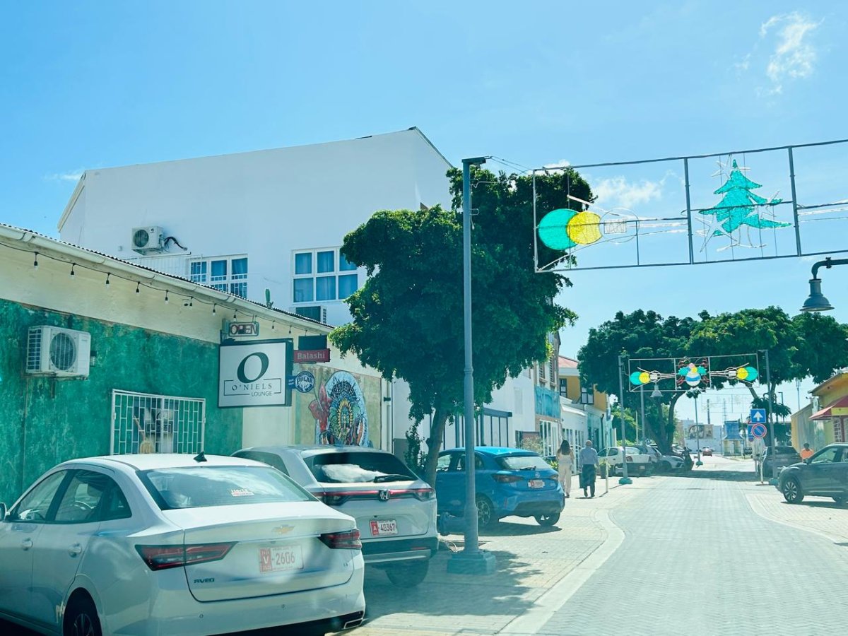 Police officer monitoring parked cars in San Nicolas