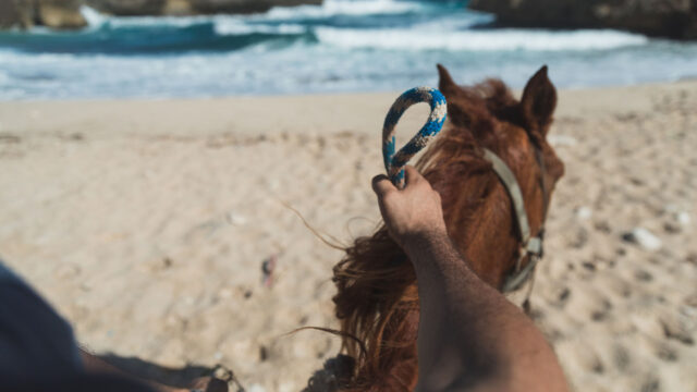 Ponderosa_Activities_Horseback_riding_tours_beach_ocean
