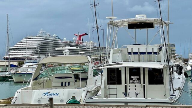 WhatsApp-Image-2023-03-10-at-10.57.54-2