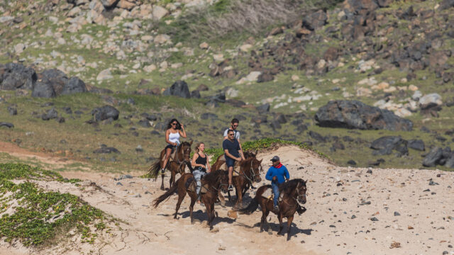 tour_Ponderosa_Activities_Horseback_riding_tours_