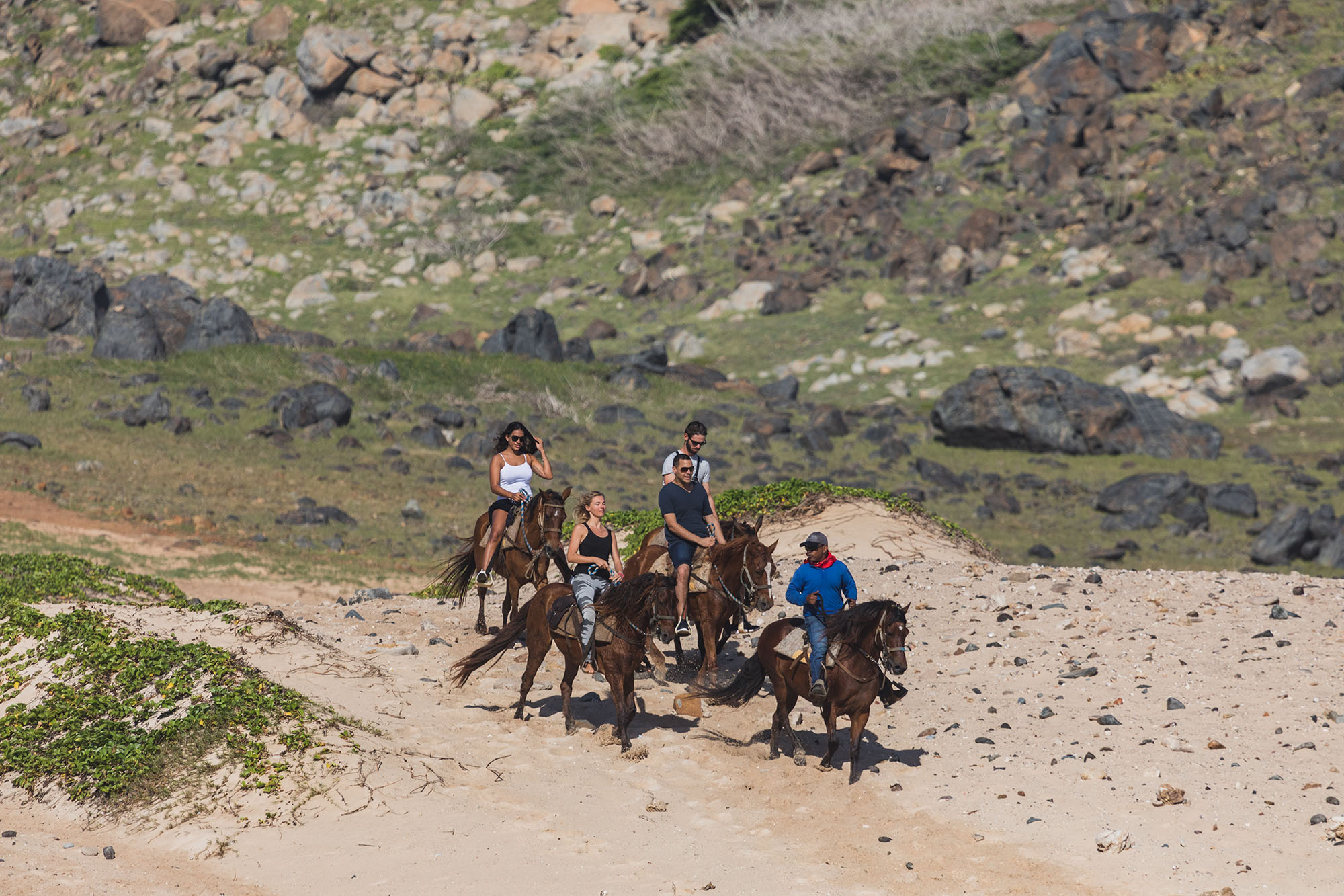 tour_Ponderosa_Activities_Horseback_riding_tours_
