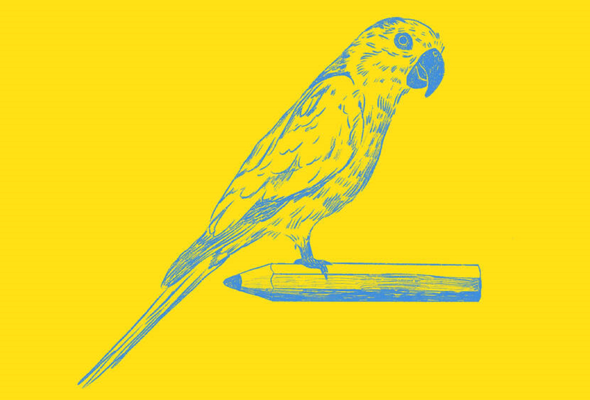 Aruba’s blue and yellow horizon representing national reform initiatives