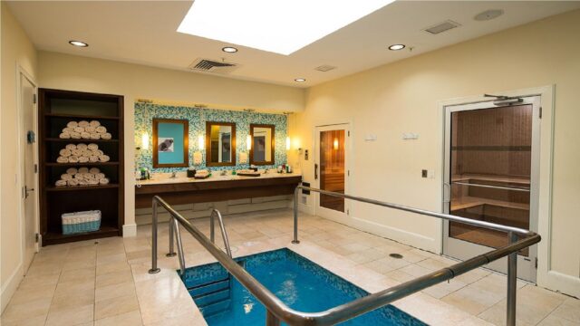 Eforea Spa cold plunge pool steam