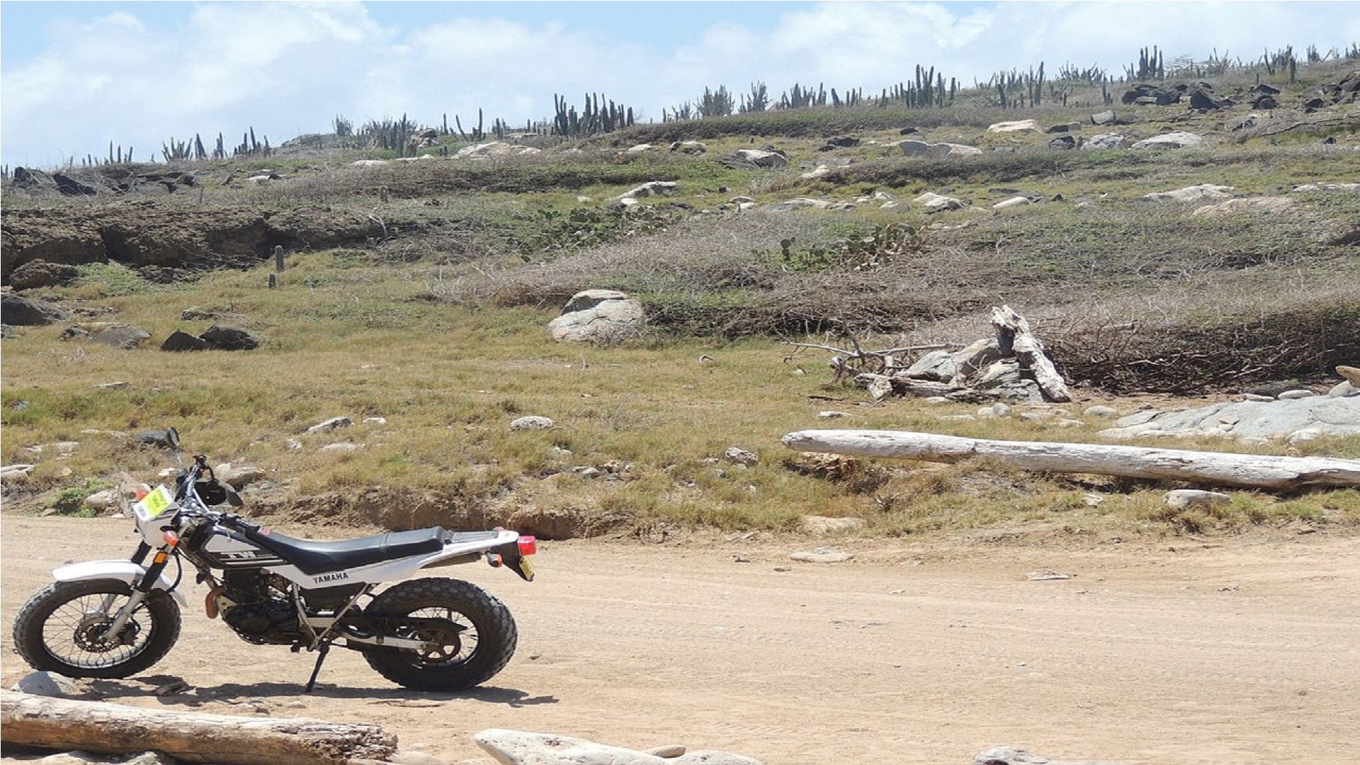 Georges Cycle Company bike