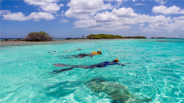 Pelican Adventures discover the vibrant