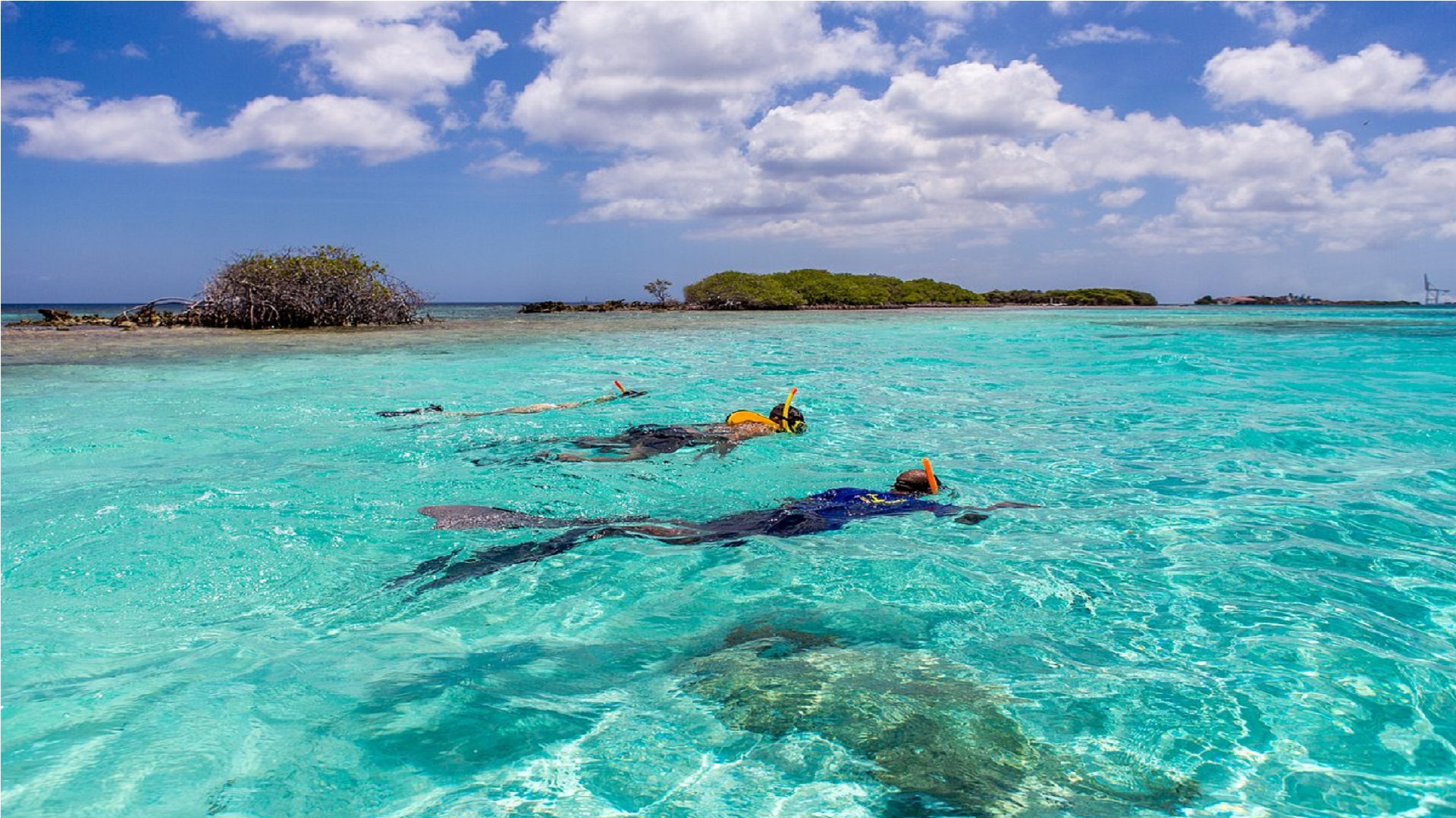 Pelican Adventures discover the vibrant