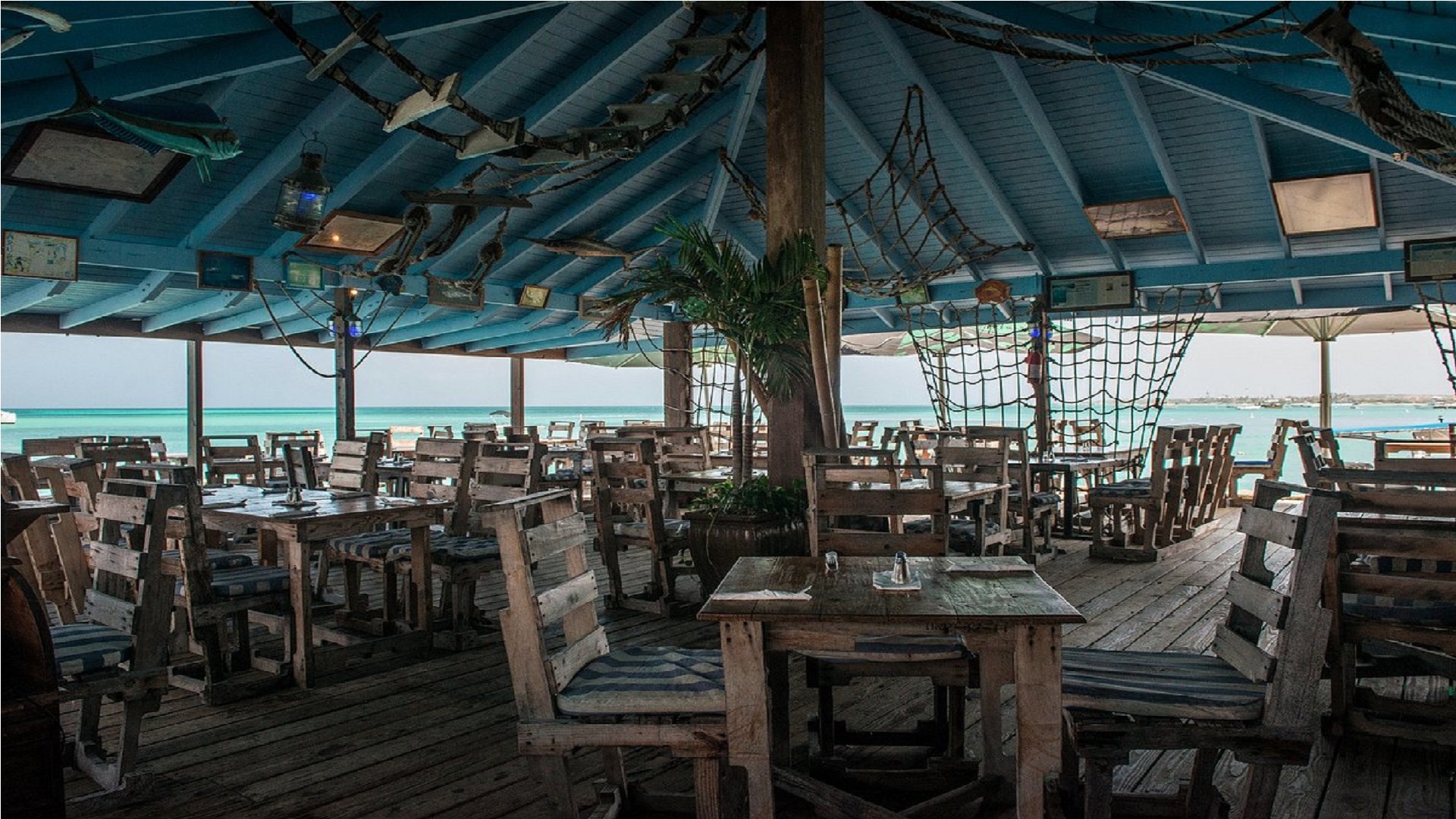 Pelican Adventures nest restaurant