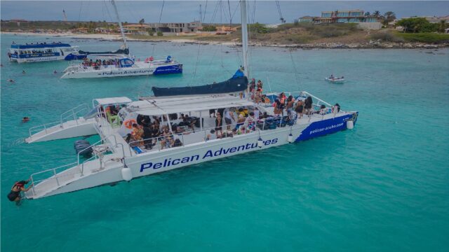 Pelican Adventures sail away