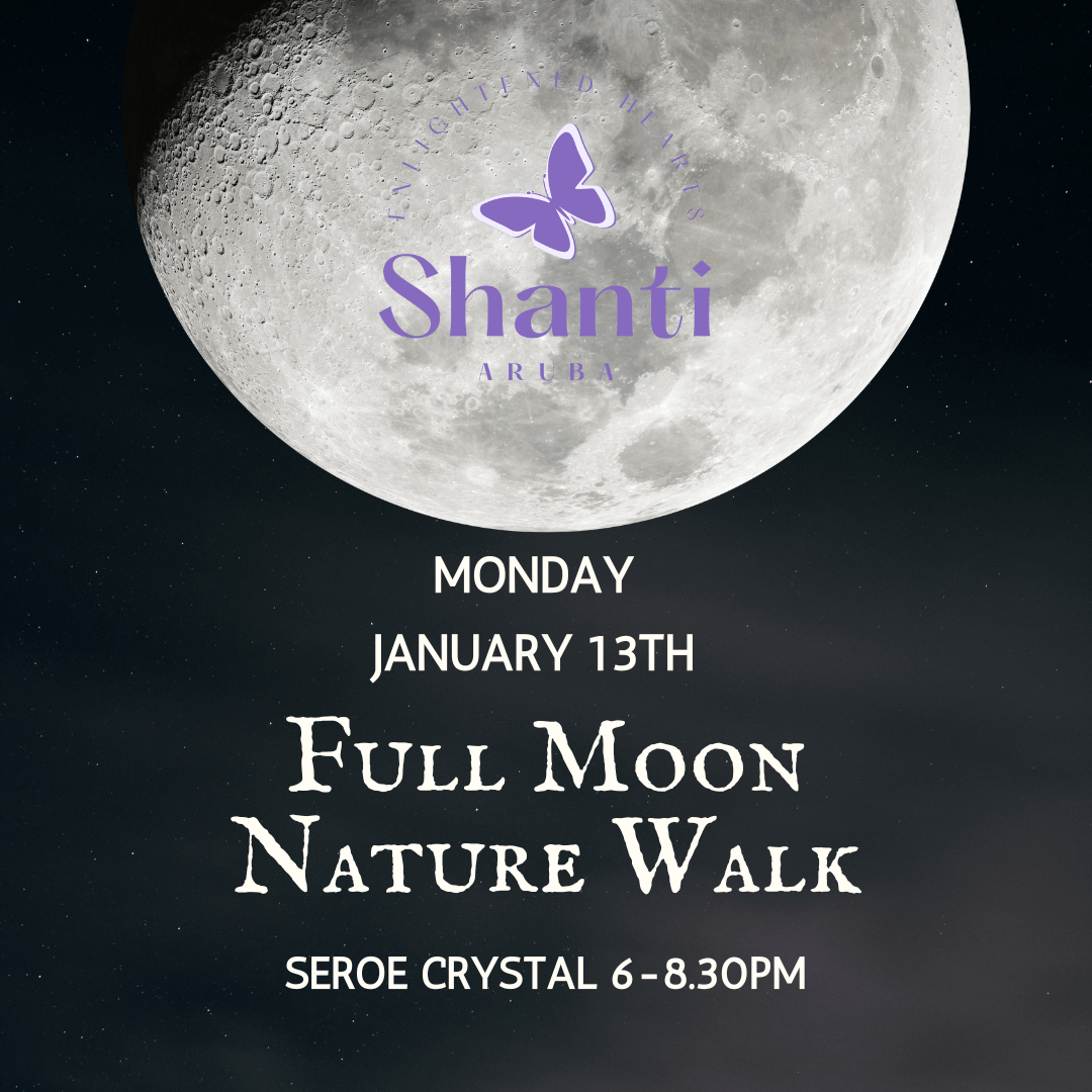 mindfulness walk, yoga, and reflection