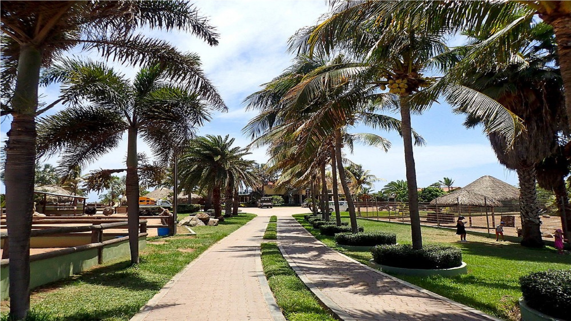 philips animal garden view