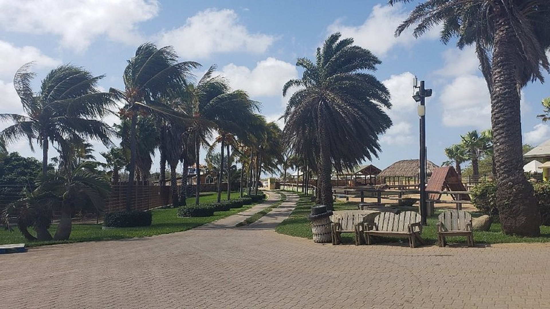 philips animal garden