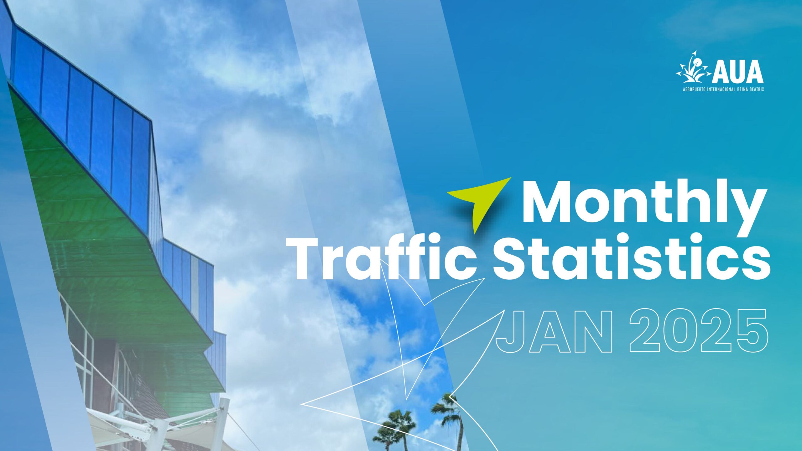 Monthly Traffic Statistics Jan 2025