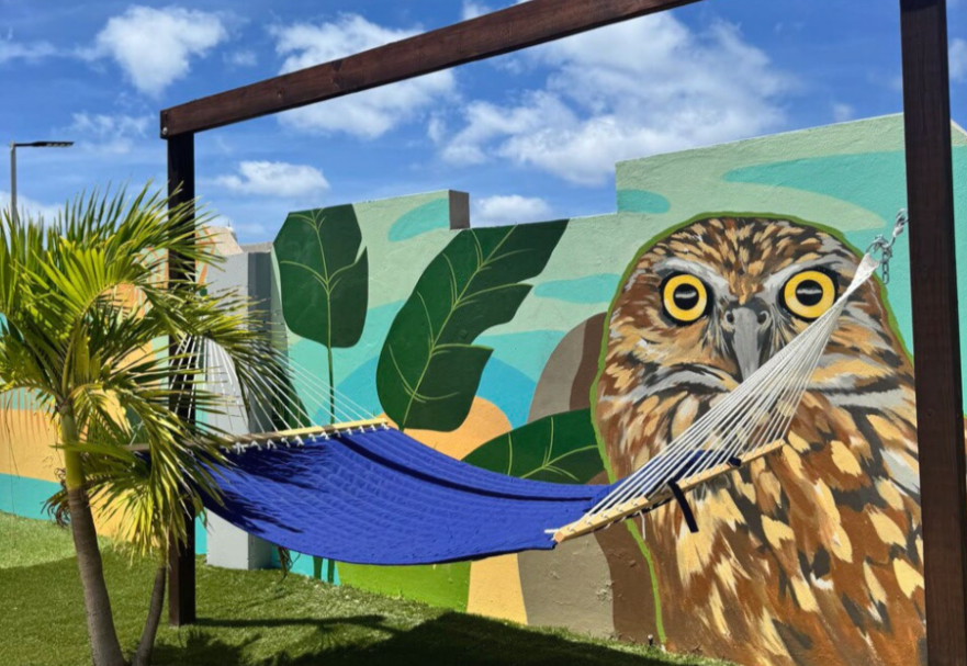 hammocks Aruba, TRYP by Wyndham relaxation, poolside hammocks Aruba, beach hammocks Aruba