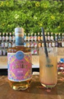 Travel agents shaking cocktails during Aruba Ariba mixology workshop