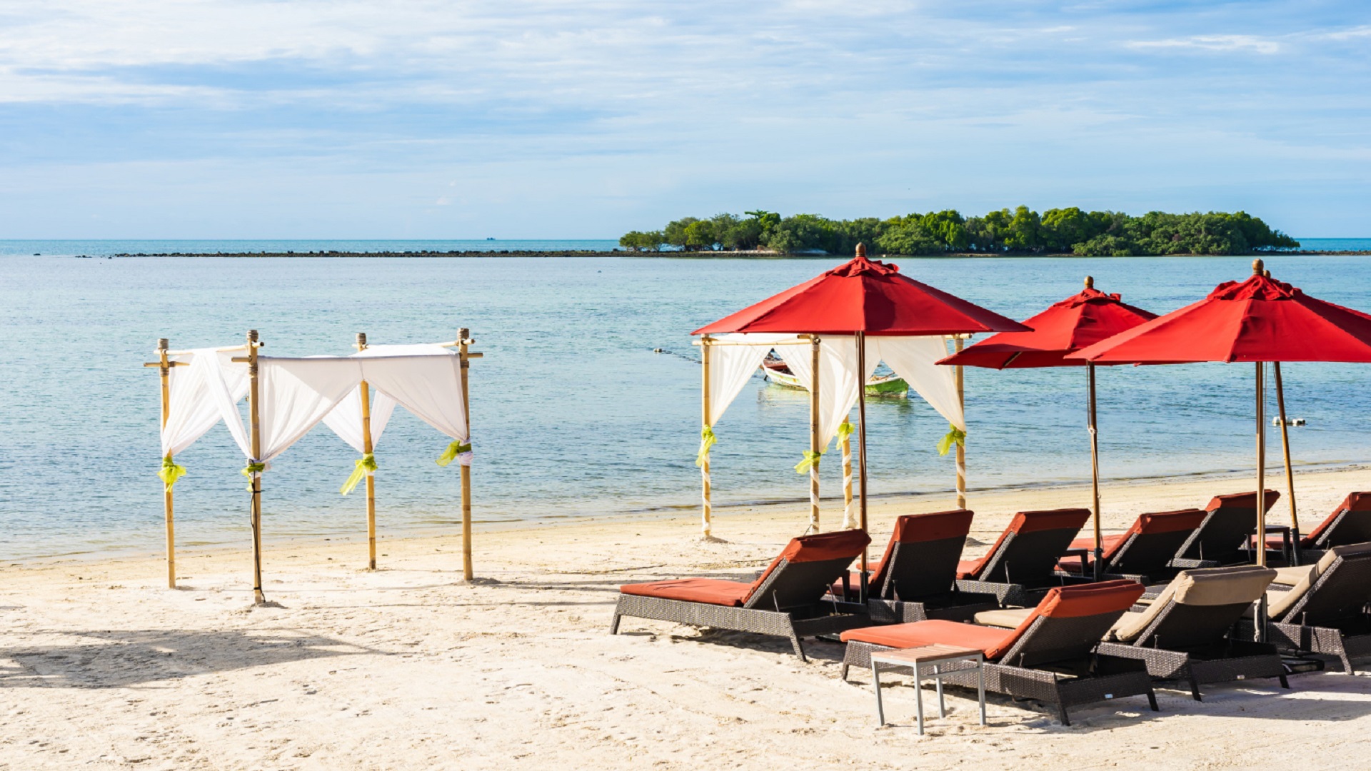 Traveler Demographics