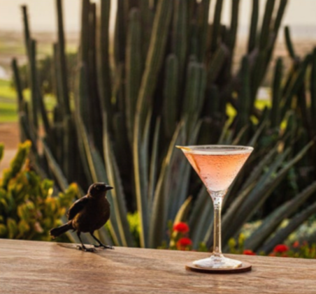 Stunning Aruba sunset views from The Birdie Lighthouse terrace at Tierra del Sol