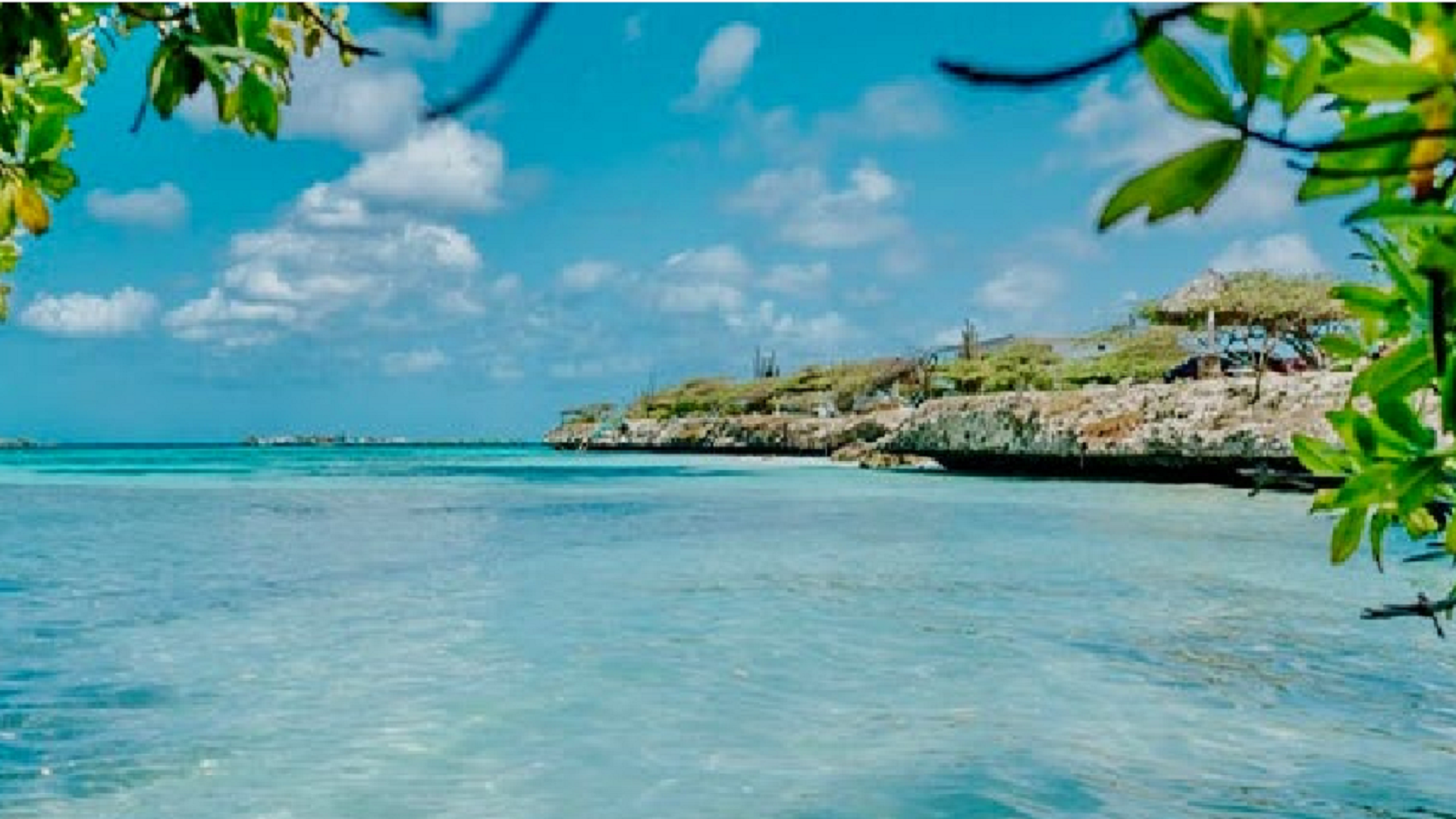coastal lagoon in Aruba surrounded by rocky shoreline and green foliage