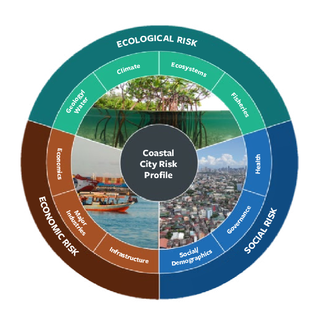 Circular diagram showing coastal city risk profile with ecological, economic, and social risk