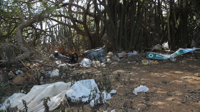 SC3 Sunrise City Coconut Collective Let’s Rise Together campaign Aruba