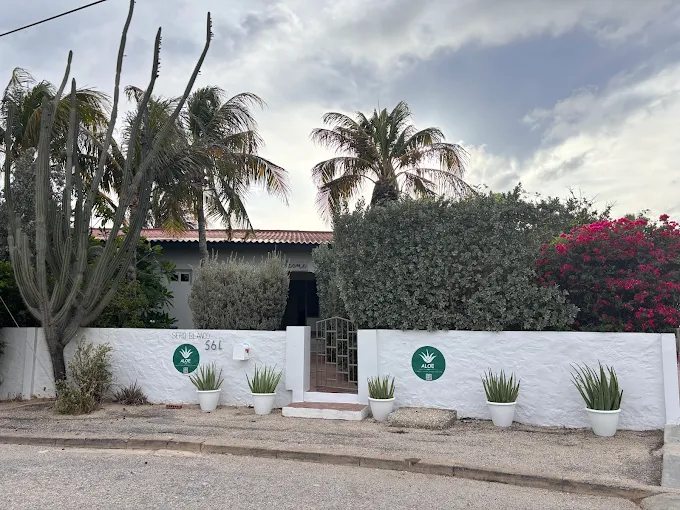 Aloe B&B Aruba Near Beaches and Attractions