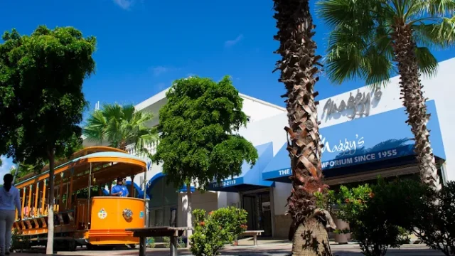 Caribbean-Inspired Fashion Collection