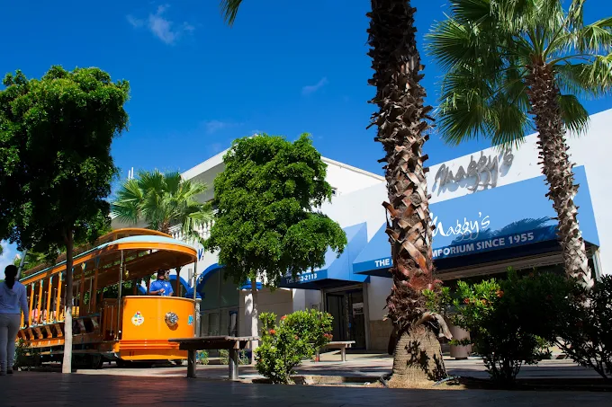 Caribbean-Inspired Fashion Collection