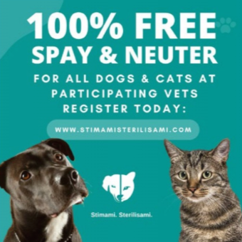 Sustainable travel experiences in Aruba with Bucuti & Tara