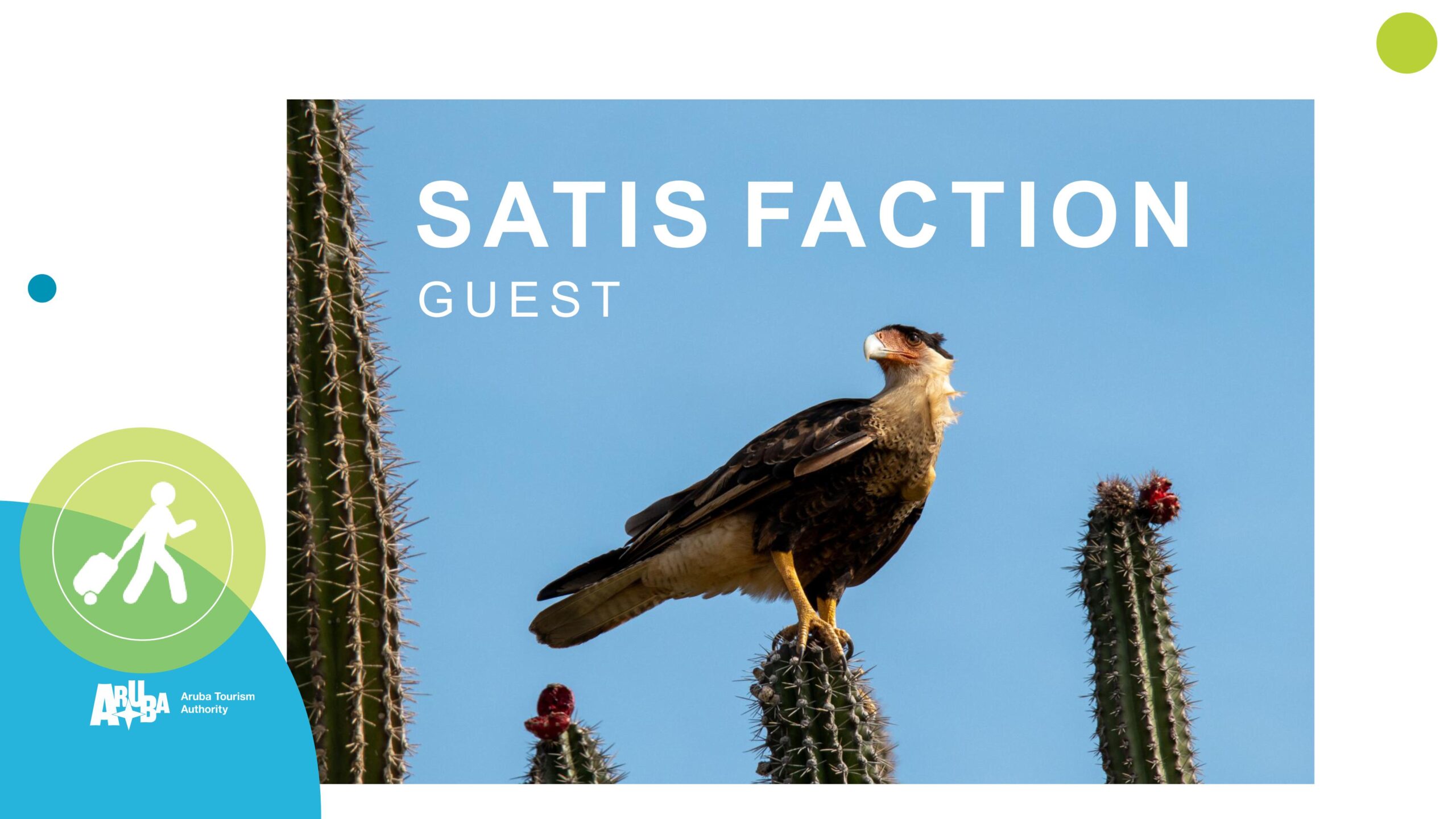 SATIS FACTION G U E S T