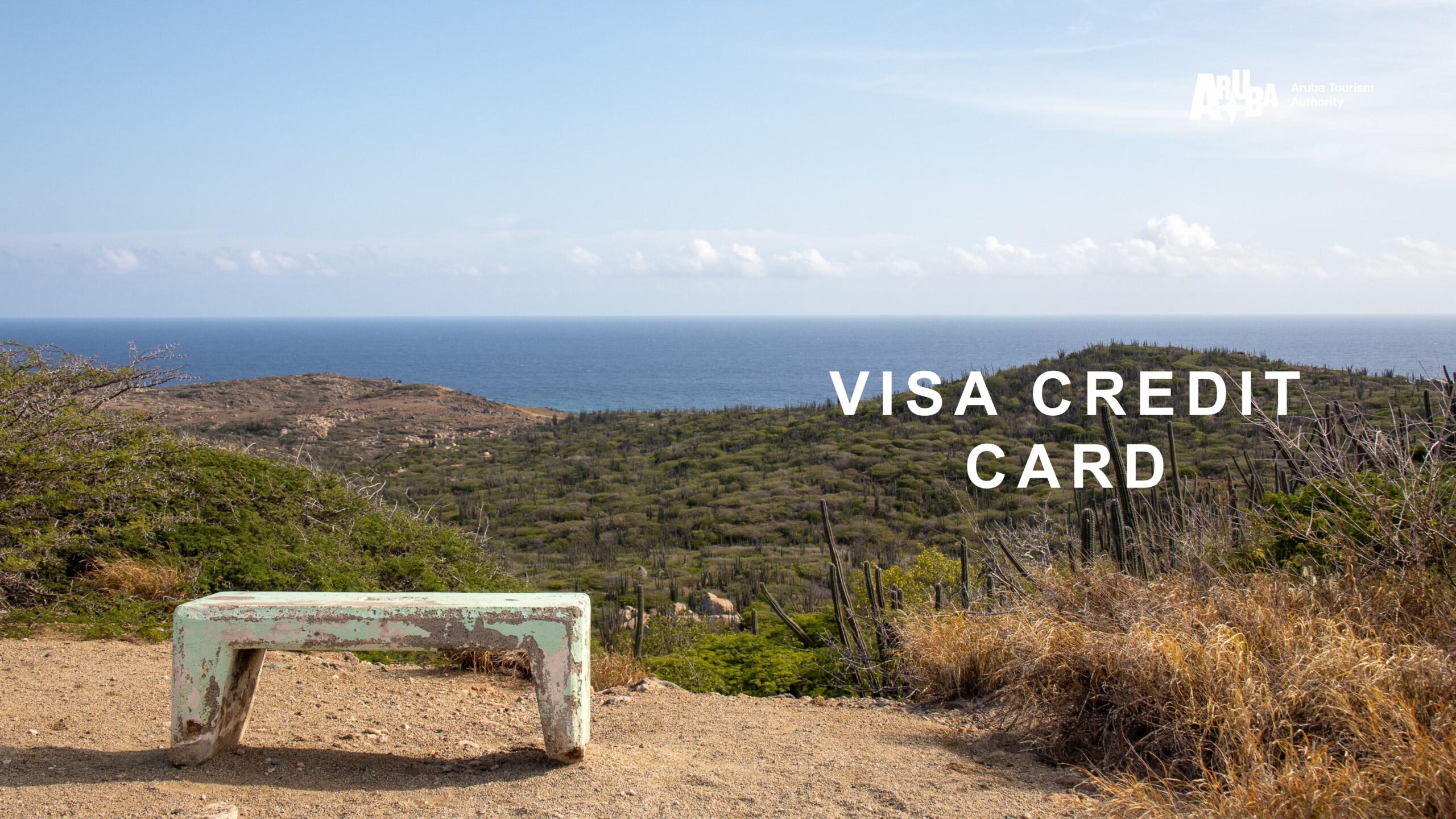 V I S A C R E D I T CARD