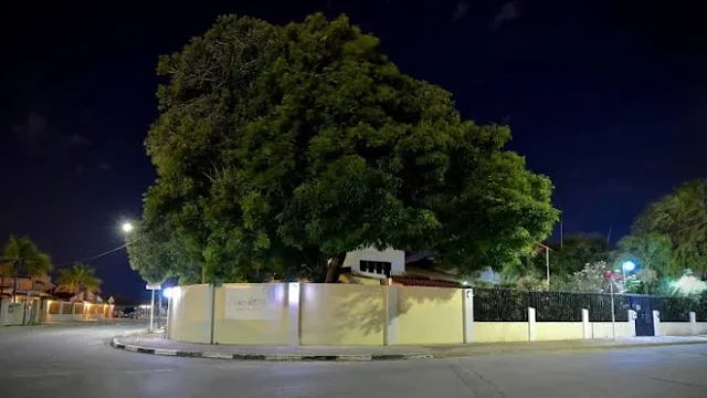 Wonders Boutique Hotel Aruba Near Downtown Oranjestad