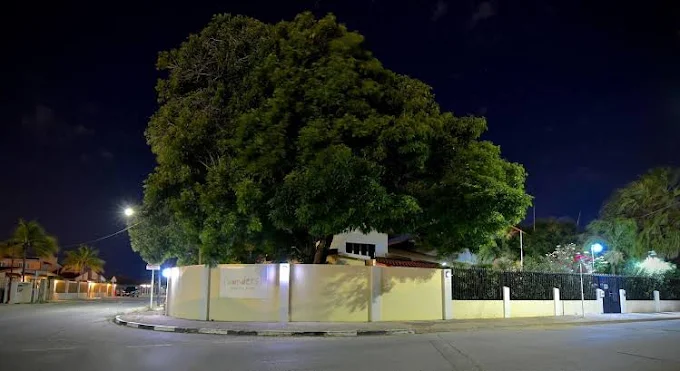 Wonders Boutique Hotel Aruba Near Downtown Oranjestad