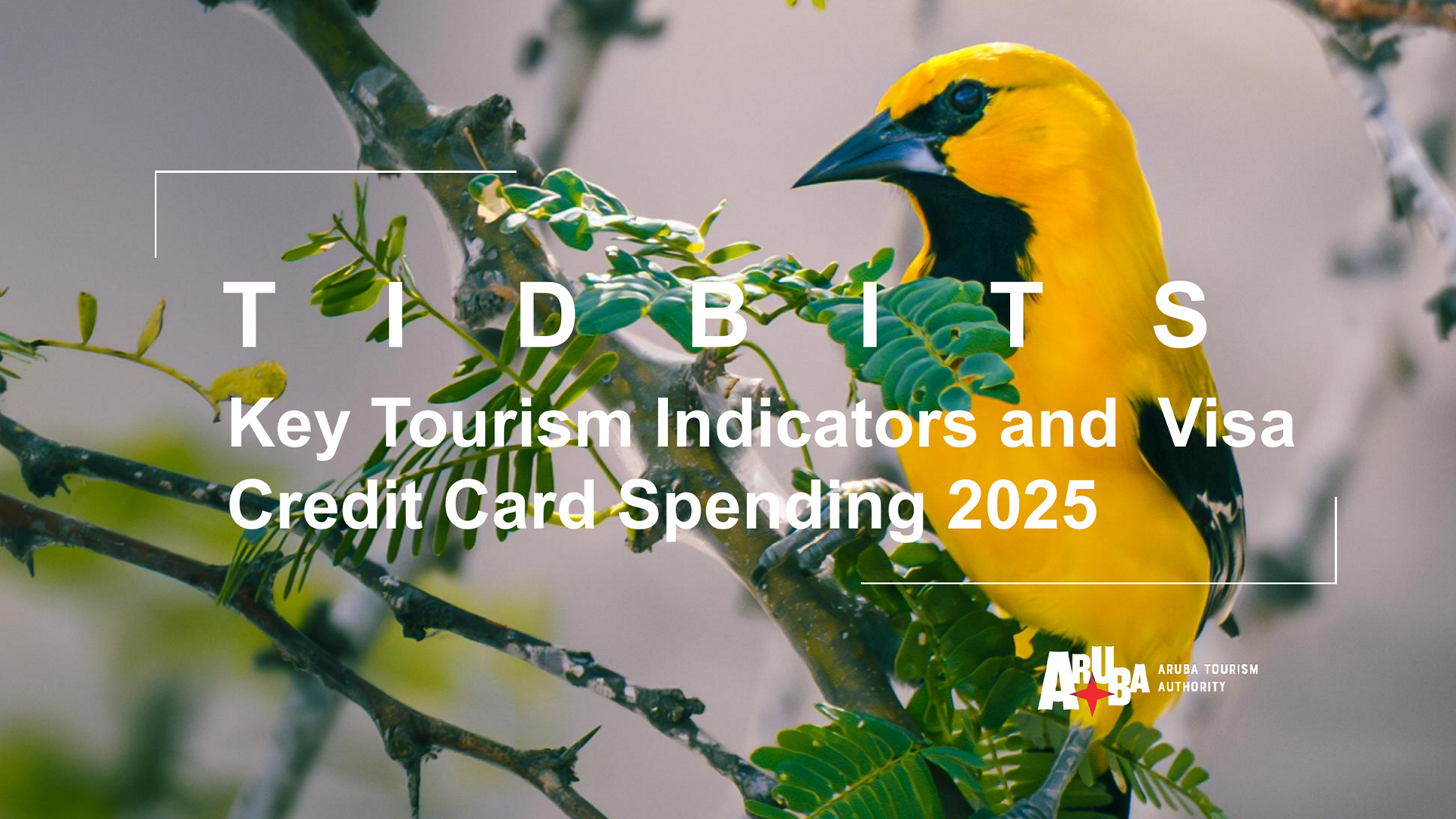 Aruba Tourism Authority report titled Key Tourism Indicators and Visa Credit Card Spending 2025 featuring a yellow bird and Aruba branding.