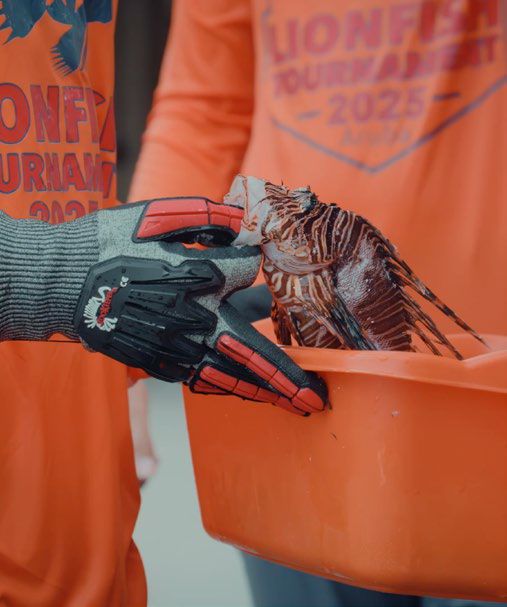 Eco-friendly trophies made from recycled plastic at Lionfish Harvesting Tournament Aruba
