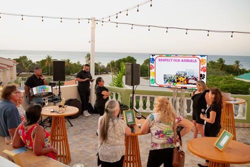 Rescued cats cared for at La Quinta Beach Resort Aruba